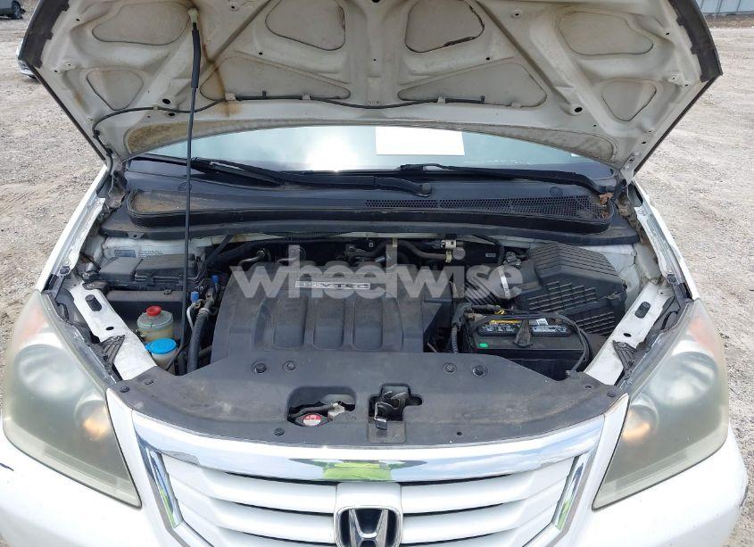 Photo 10 of 2010 Honda Odyssey LX (VIN 5FNRL3H23AB090530)