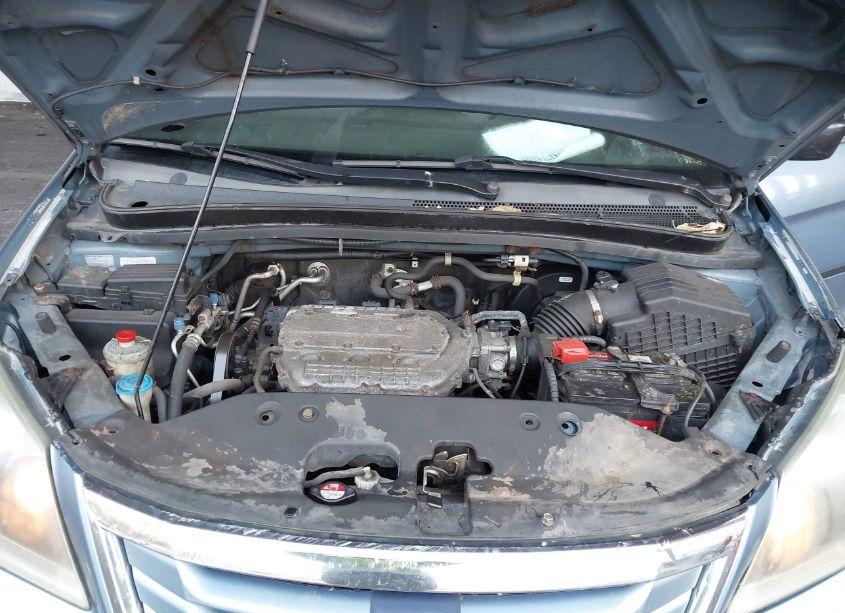 Photo 10 of 2010 Honda Odyssey LX (VIN 5FNRL3H24AB089130)