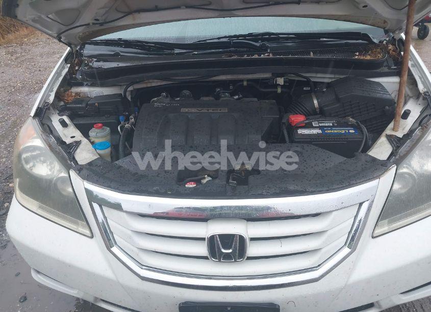 Photo 10 of 2010 Honda Odyssey LX (VIN 5FNRL3H29AB110330)