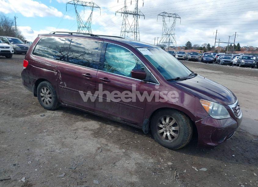 2010 Honda Odyssey EX (VIN 5FNRL3H41AB079561) main photo