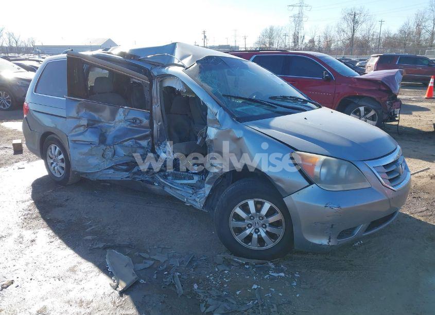 2010 Honda Odyssey EX (VIN 5FNRL3H43AB103309) main photo