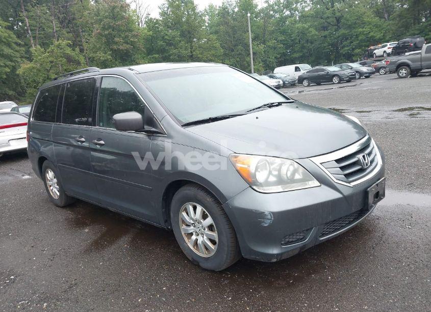 2010 Honda Odyssey EX (VIN 5FNRL3H49AB059784) main photo