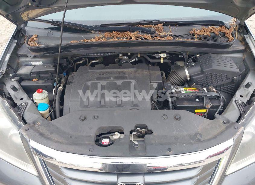 Photo 10 of 2010 Honda Odyssey EX (VIN 5FNRL3H50AB011499)
