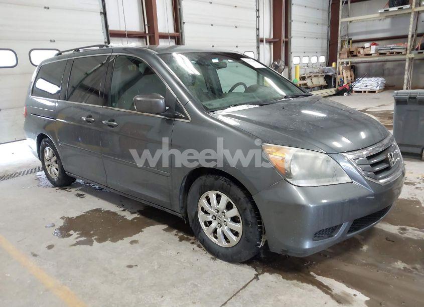2010 Honda Odyssey EX (VIN 5FNRL3H52AB094806) main photo