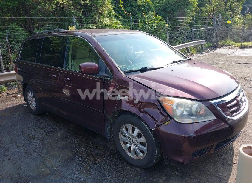 2010 Honda Odyssey EX (VIN 5FNRL3H59AB103405) main photo