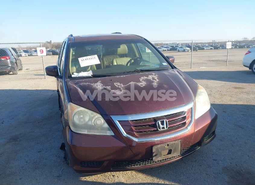 2010 Honda Odyssey EX-L (VIN 5FNRL3H60AB087071) main photo
