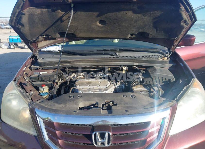 Photo 10 of 2010 Honda Odyssey EX-L (VIN 5FNRL3H60AB087071)