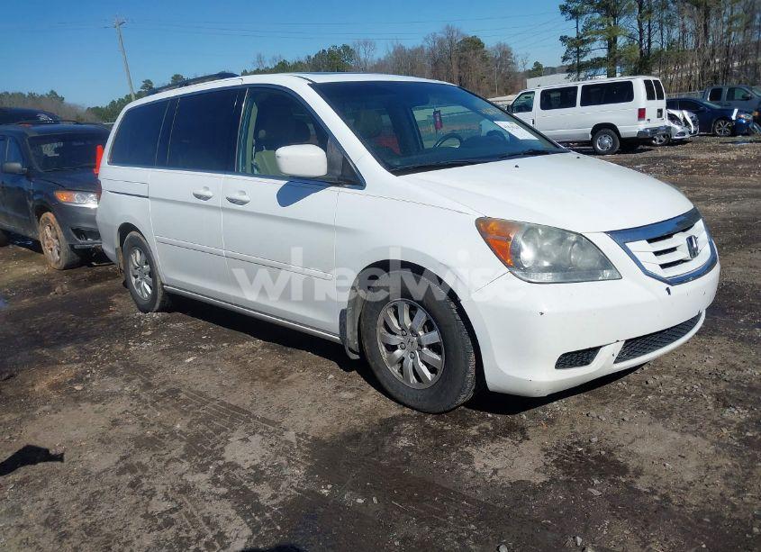 2010 Honda Odyssey EX-L (VIN 5FNRL3H60AB103558) main photo