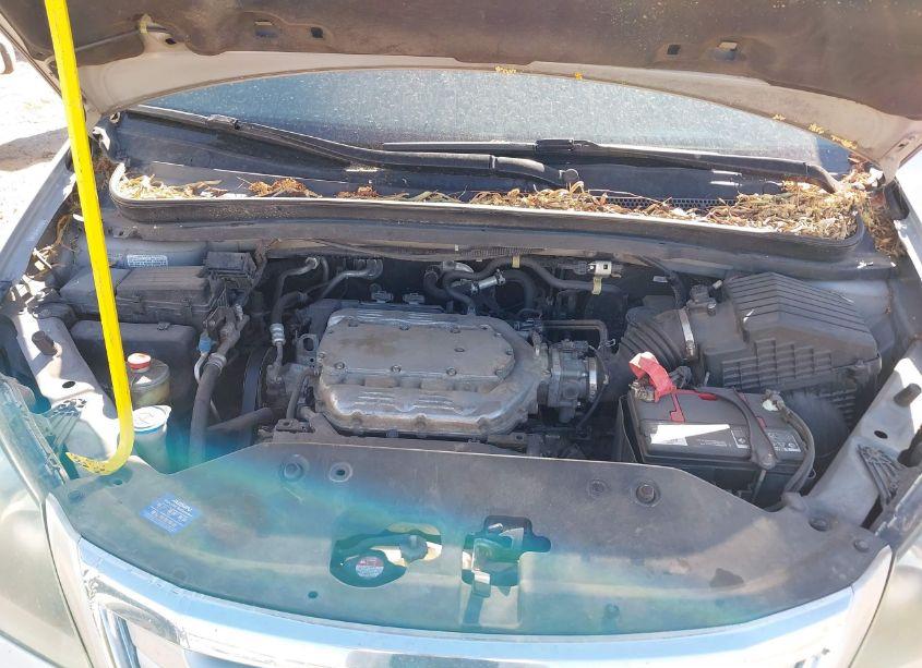 Photo 10 of 2010 Honda Odyssey EX-L (VIN 5FNRL3H61AB020432)