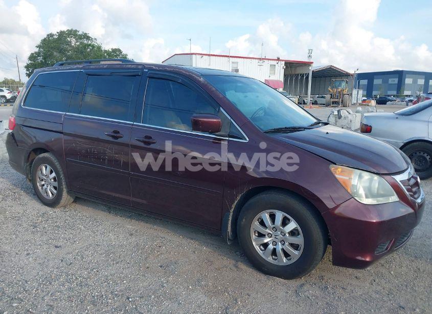 2010 Honda Odyssey EX-L (VIN 5FNRL3H61AB087080) main photo