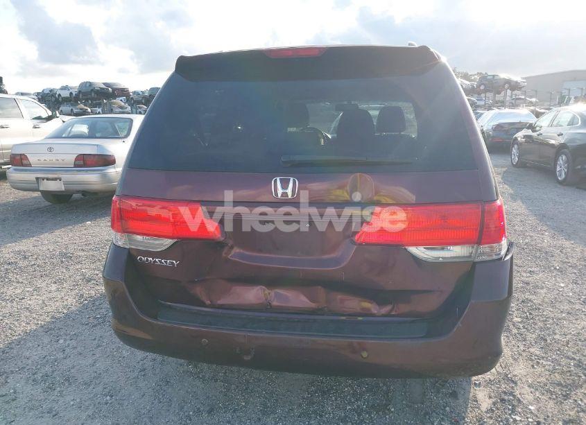 Photo 16 of 2010 Honda Odyssey EX-L (VIN 5FNRL3H61AB087080)