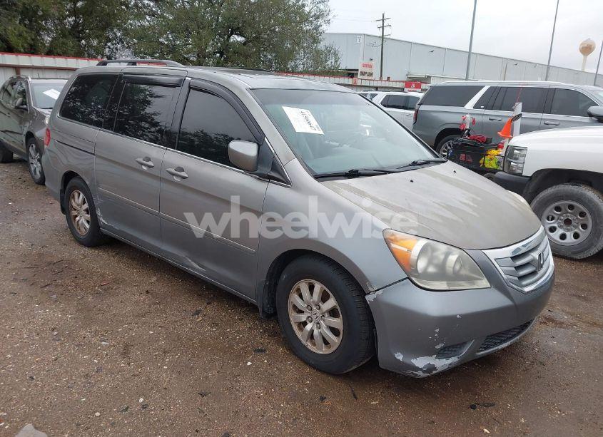 2010 Honda Odyssey EX-L (VIN 5FNRL3H62AB037482) main photo