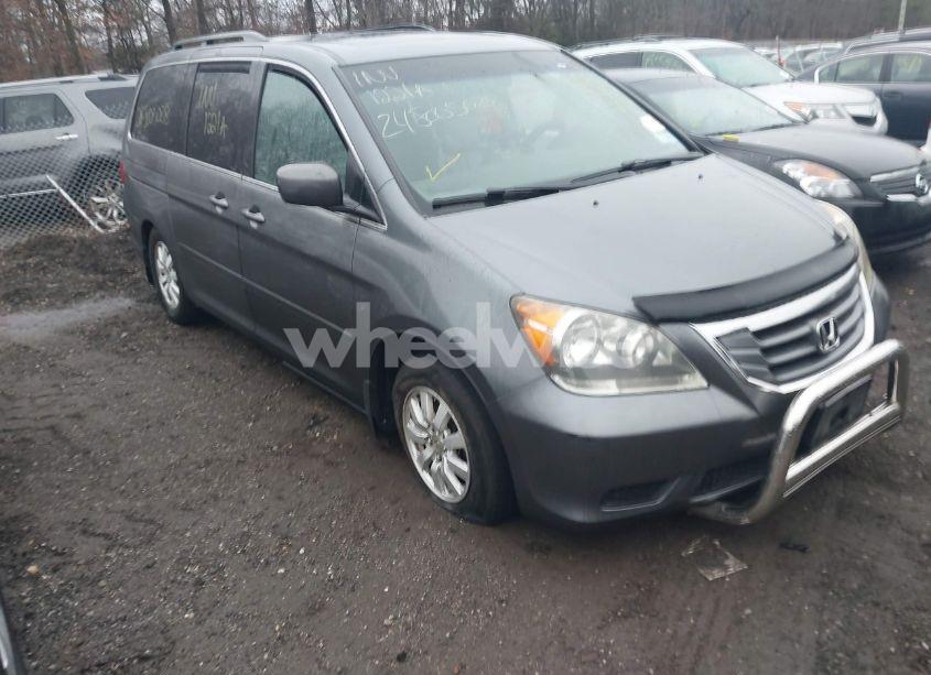 2010 Honda Odyssey EX-L (VIN 5FNRL3H62AB081921) main photo
