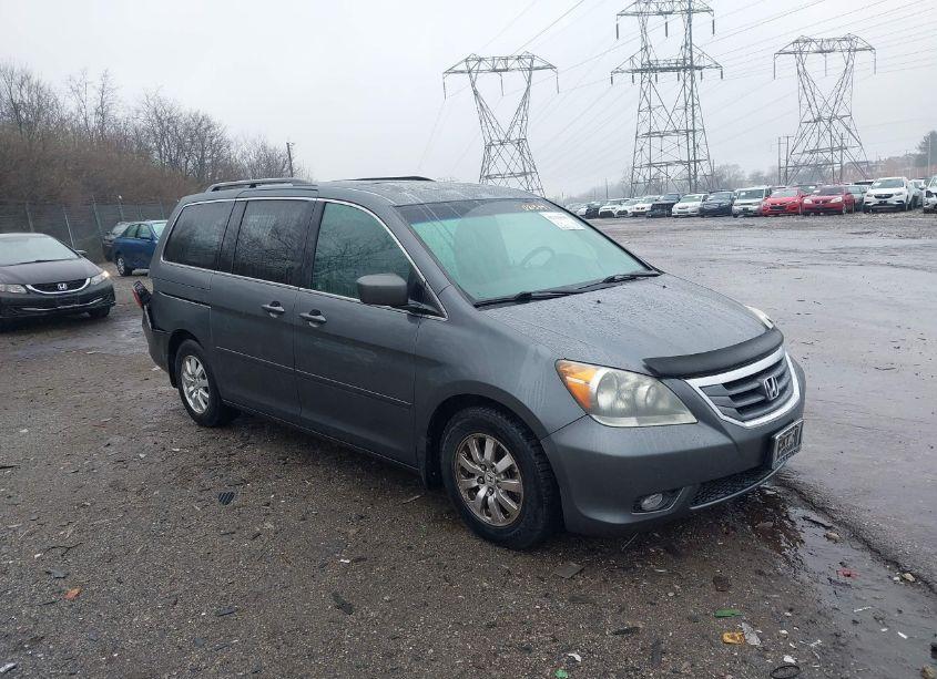 2010 Honda Odyssey EX-L (VIN 5FNRL3H63AB021534) main photo