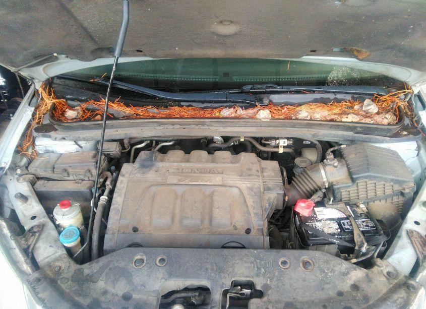 Photo 10 of 2010 Honda Odyssey EX-L (VIN 5FNRL3H63AB039600)