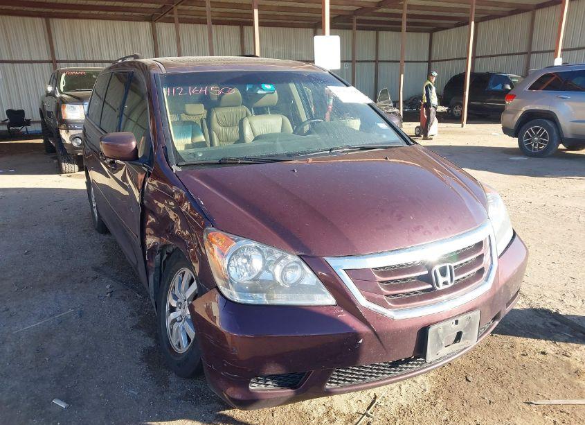 2010 Honda Odyssey EXL (VIN 5FNRL3H63AB100847) main photo