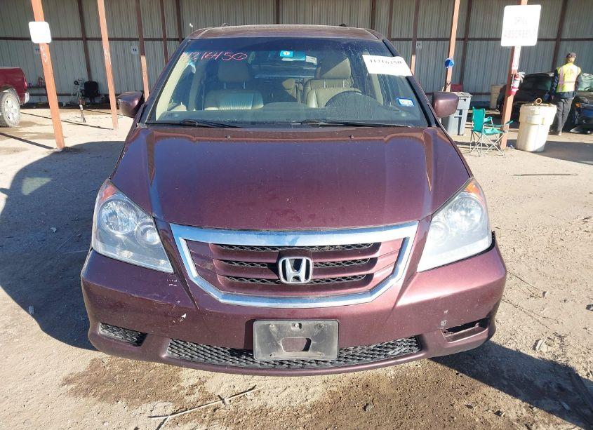 Photo 12 of 2010 Honda Odyssey EXL (VIN 5FNRL3H63AB100847)