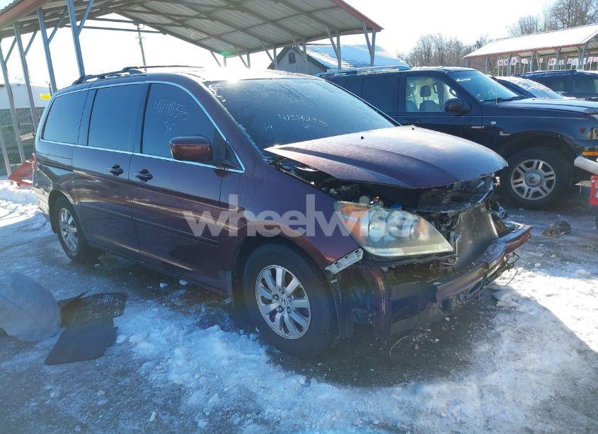 2010 Honda Odyssey EX-L (VIN 5FNRL3H64AB013071) main photo
