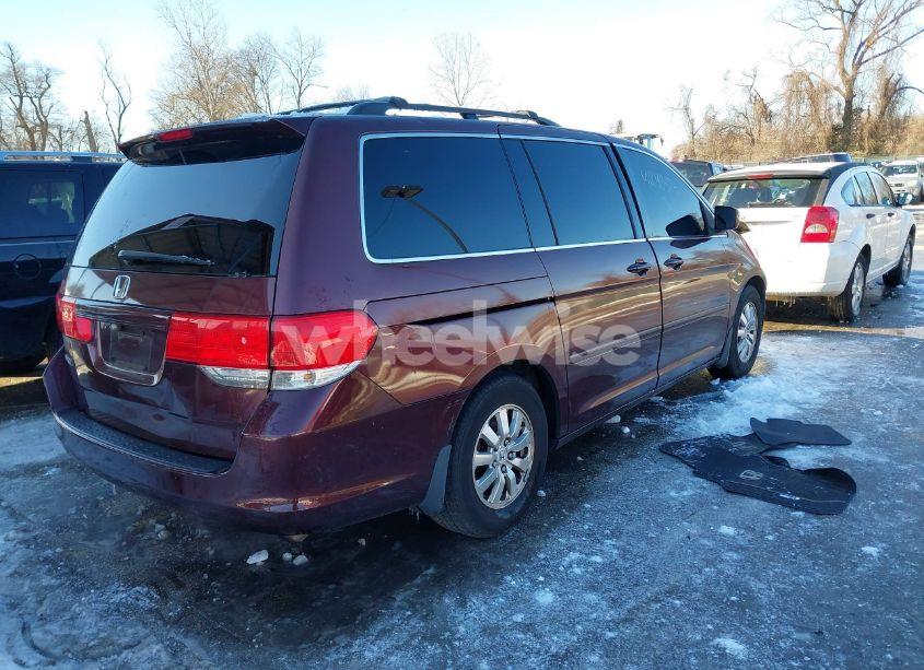 Photo 4 of 2010 Honda Odyssey EX-L (VIN 5FNRL3H64AB013071)