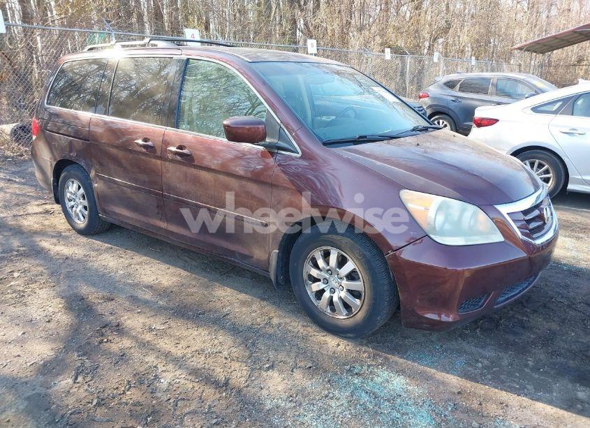 2010 Honda Odyssey EX-L (VIN 5FNRL3H65AB064479) main photo