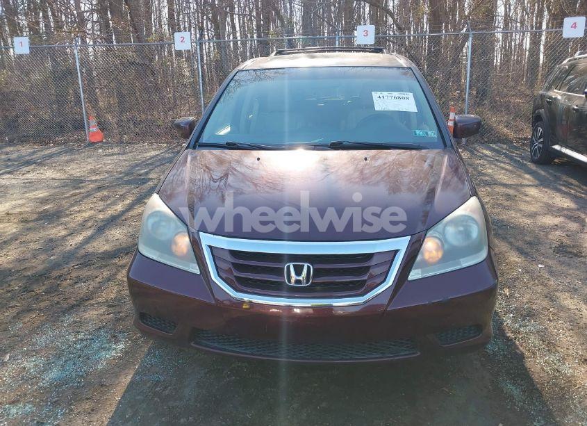 Photo 12 of 2010 Honda Odyssey EX-L (VIN 5FNRL3H65AB064479)