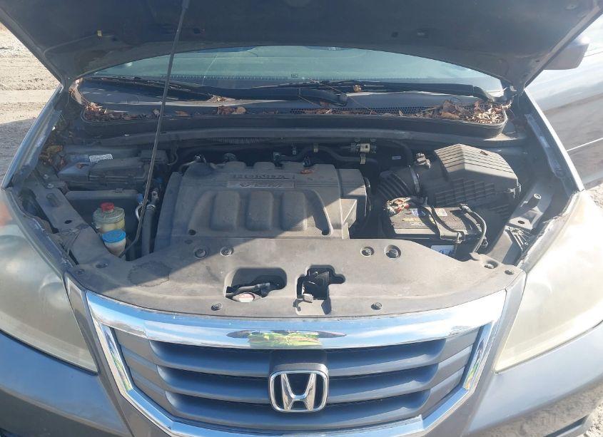 Photo 10 of 2010 Honda Odyssey EX-L (VIN 5FNRL3H66AB046847)