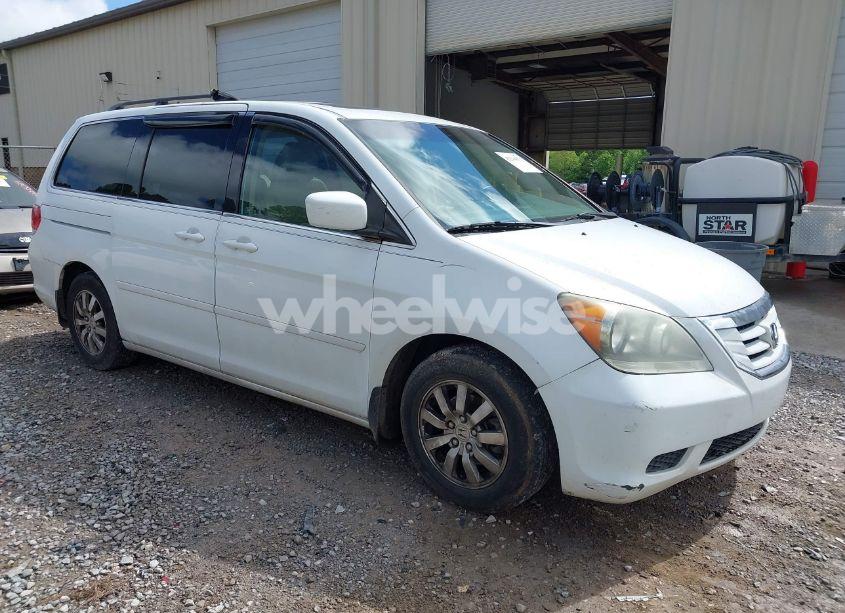 2010 Honda Odyssey EX-L (VIN 5FNRL3H67AB003148) main photo