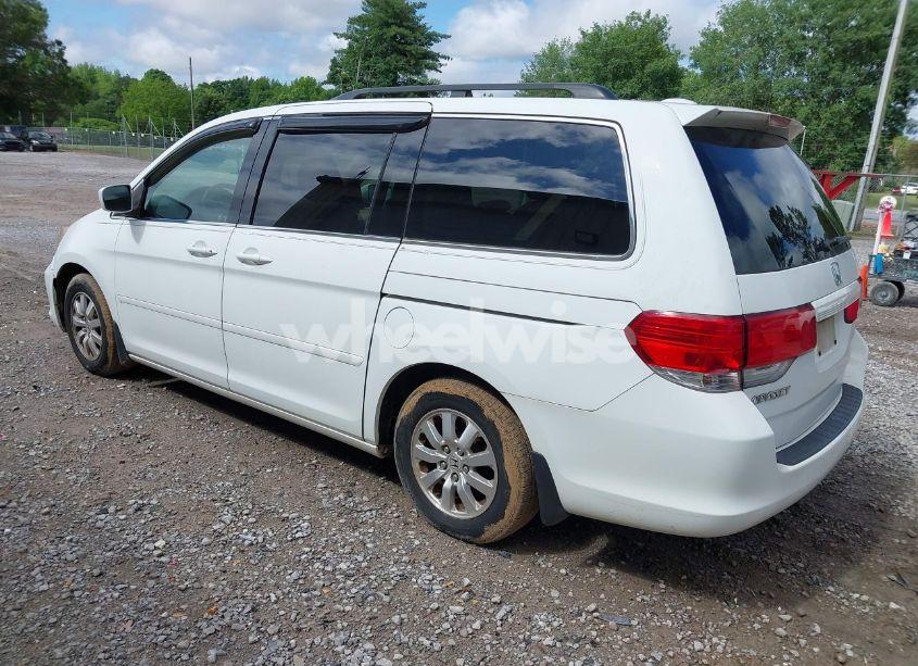Photo 3 of 2010 Honda Odyssey EX-L (VIN 5FNRL3H67AB003148)