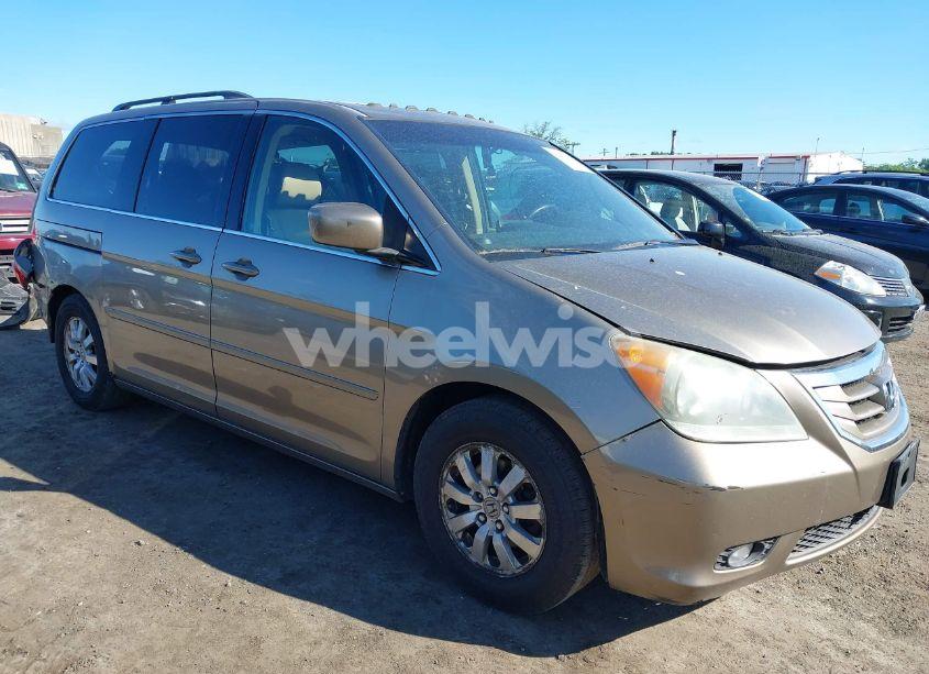 2010 Honda Odyssey EX-L (VIN 5FNRL3H68AB023411) main photo
