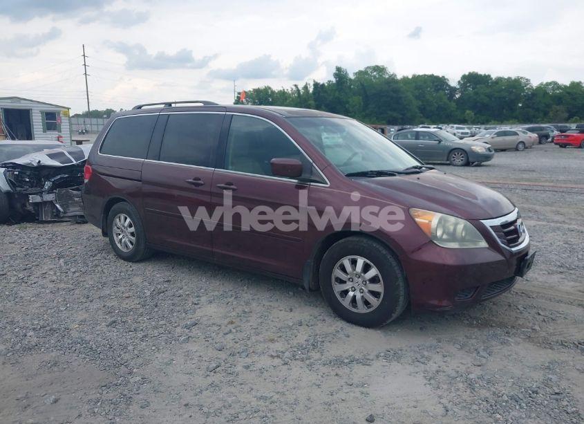2010 Honda Odyssey EX-L (VIN 5FNRL3H68AB033954) main photo