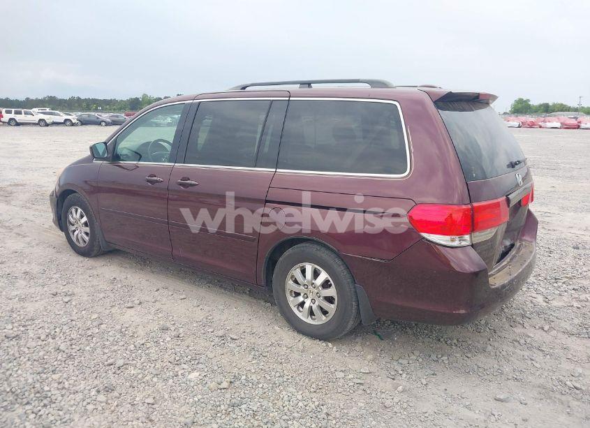 Photo 3 of 2010 Honda Odyssey EX-L (VIN 5FNRL3H68AB033954)