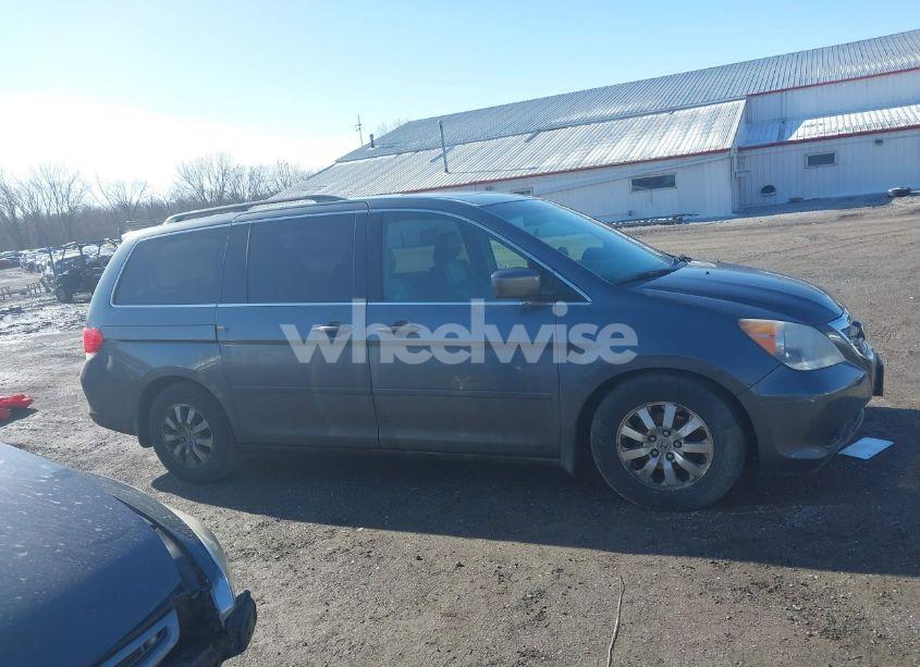 2010 Honda Odyssey EX-L (VIN 5FNRL3H68AB038541) main photo