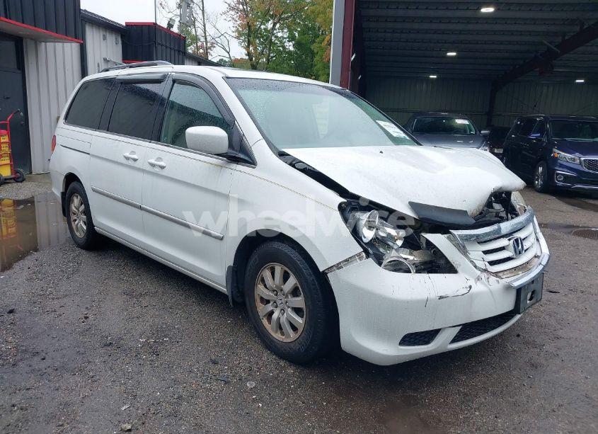 2010 Honda Odyssey EX-L (VIN 5FNRL3H68AB110418) main photo