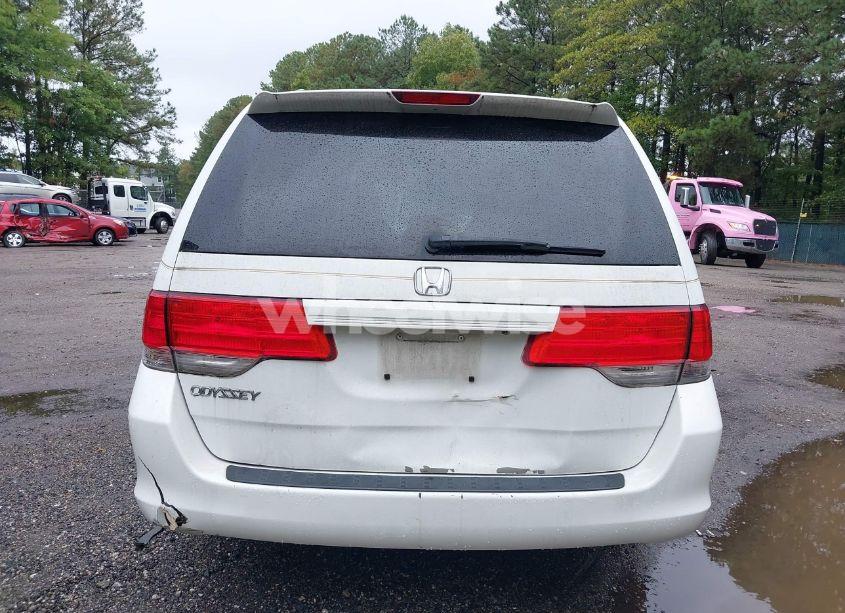 Photo 16 of 2010 Honda Odyssey EX-L (VIN 5FNRL3H68AB110418)