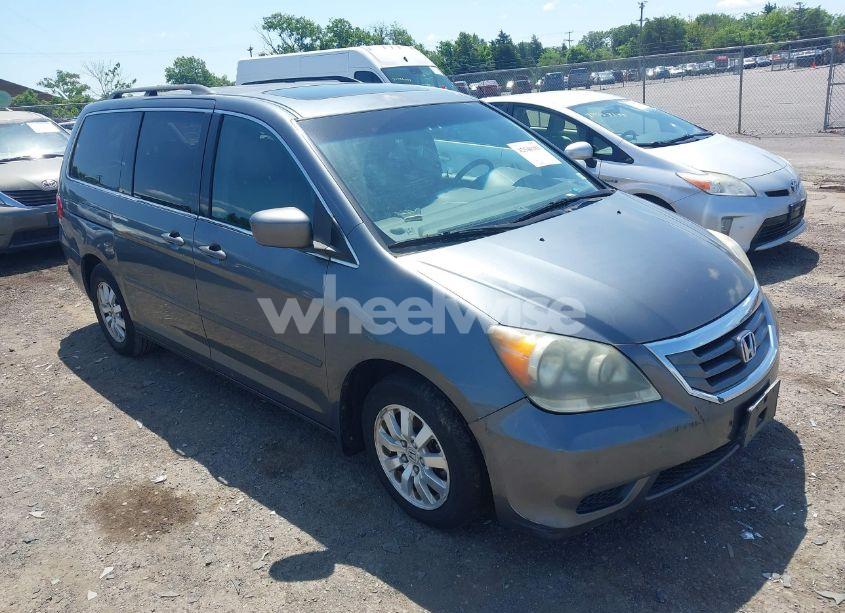 2010 Honda Odyssey EX-L (VIN 5FNRL3H69AB114137) main photo