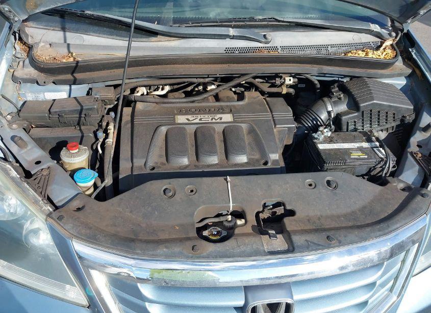 Photo 10 of 2010 Honda Odyssey EX-L (VIN 5FNRL3H6XAB014984)