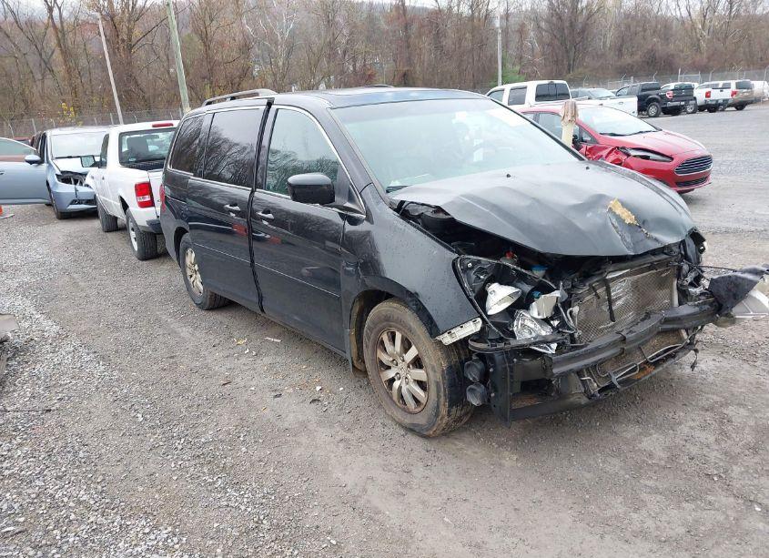 2010 Honda Odyssey EX-L (VIN 5FNRL3H6XAB034121) main photo
