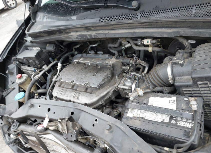 Photo 10 of 2010 Honda Odyssey EX-L (VIN 5FNRL3H6XAB034121)