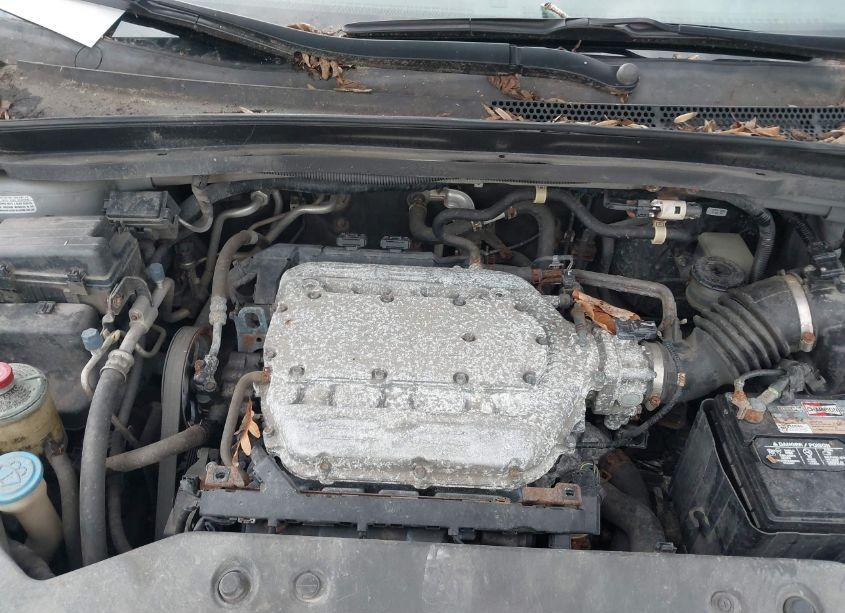 Photo 10 of 2010 Honda Odyssey EX-L (VIN 5FNRL3H6XAB082573)