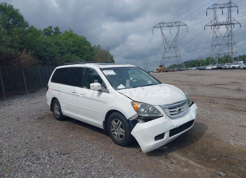 2010 Honda Odyssey EX-L (VIN 5FNRL3H6XAB110453) main photo