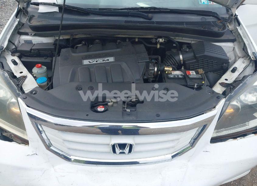 Photo 10 of 2010 Honda Odyssey EX-L (VIN 5FNRL3H6XAB110453)