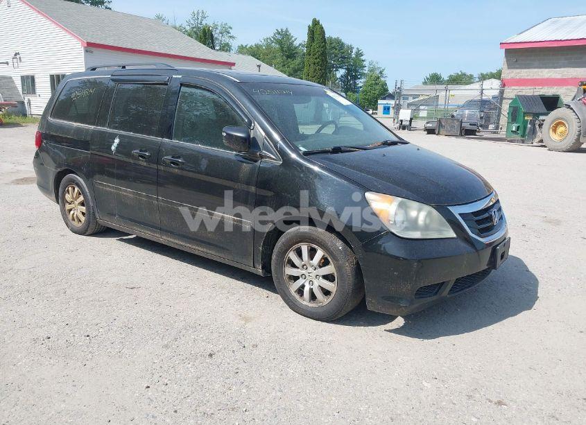 2010 Honda Odyssey EX-L (VIN 5FNRL3H70AB039028) main photo