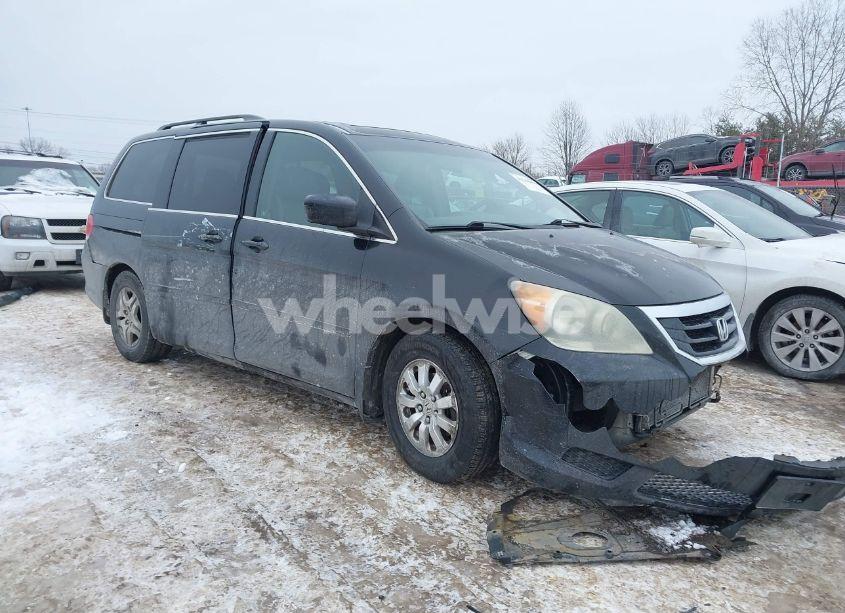 2010 Honda Odyssey EX-L (VIN 5FNRL3H70AB113368) main photo