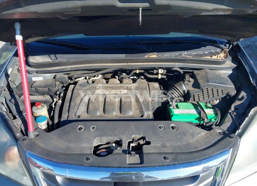 Photo 10 of 2010 Honda Odyssey EX-L (VIN 5FNRL3H71AB010346)