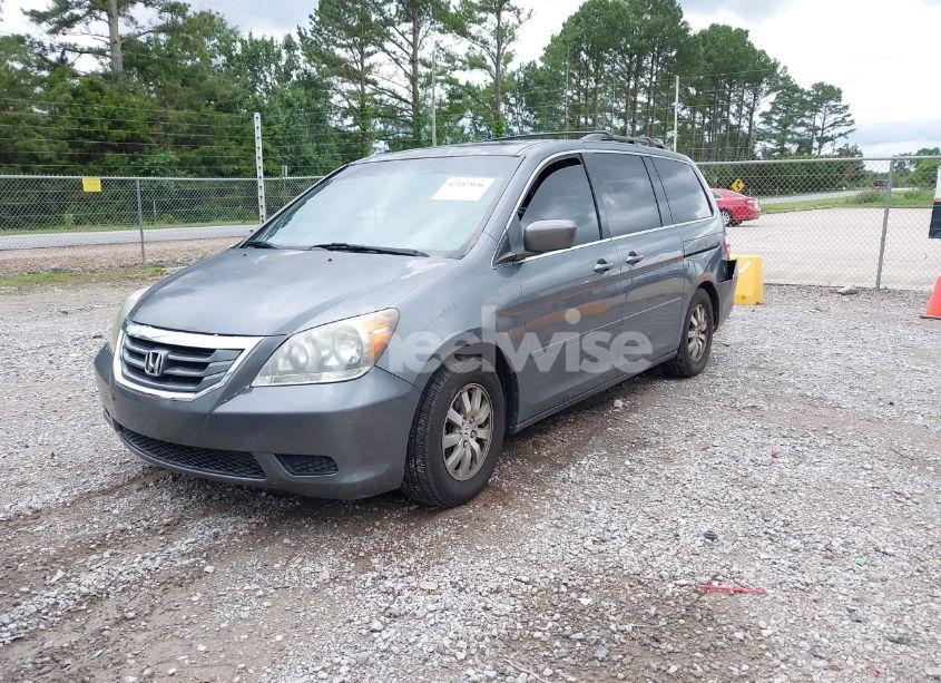 Photo 2 of 2010 Honda Odyssey EX-L (VIN 5FNRL3H71AB099710)
