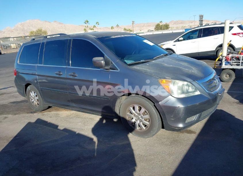 2010 Honda Odyssey EX-L (VIN 5FNRL3H72AB050645) main photo