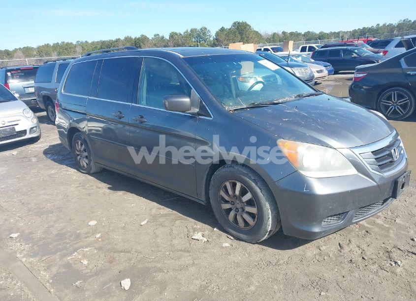 2010 Honda Odyssey EX-L (VIN 5FNRL3H73AB064926) main photo