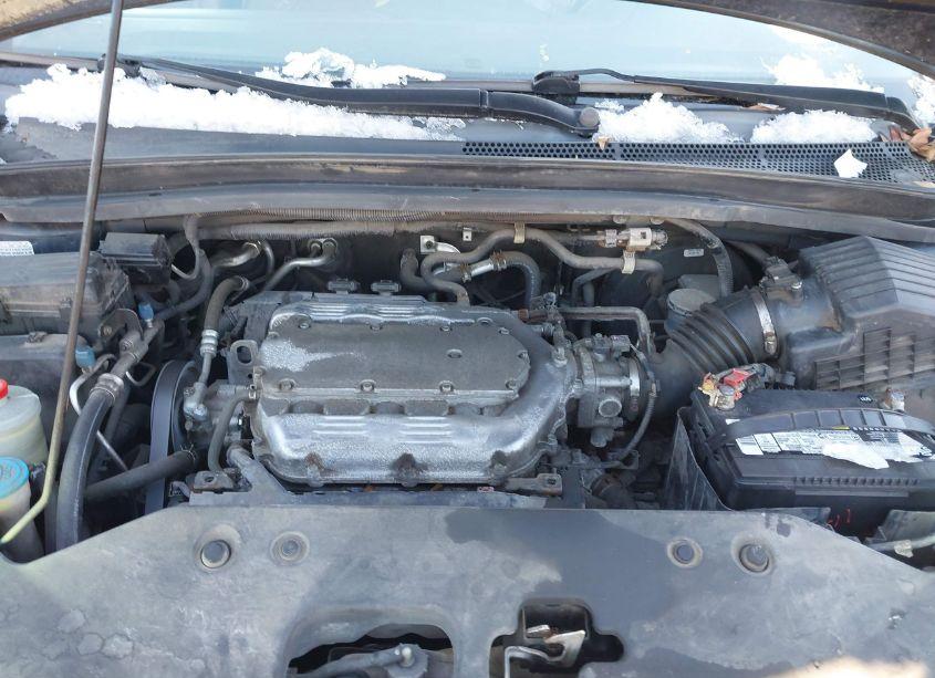 Photo 10 of 2010 Honda Odyssey EX-L (VIN 5FNRL3H74AB005478)