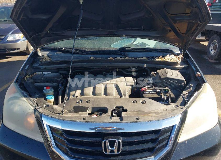 Photo 10 of 2010 Honda Odyssey EX-L (VIN 5FNRL3H74AB064112)