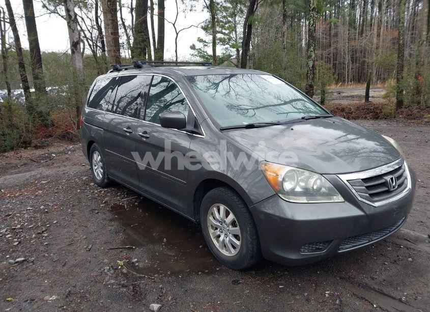 2010 Honda Odyssey EX-L (VIN 5FNRL3H75AB021480) main photo